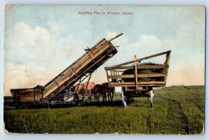 Western Canada Postcard Handling Flax Horse Farming Scene c1910's Antique