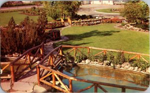 Fish Pond Calgary Brewery Grounds Calgary Alberta Vintage Postcard