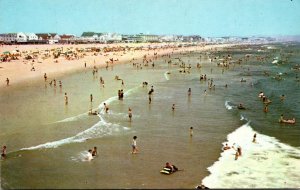 Maryland Ocean City Looking North From The Amusement Pier