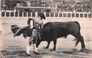 Bull Fighting  