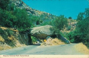 USA Sequoia National Park Tunnel Rock California Vintage Postcard BS.09
