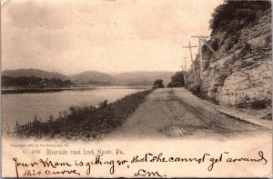 Riverside Road, Lock Haven PA c1905 Undivided Back Vintage Postcard S78