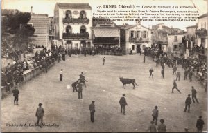 France Lunel Herault Course de Taureaux a la Provencale Vintage Postcard C066