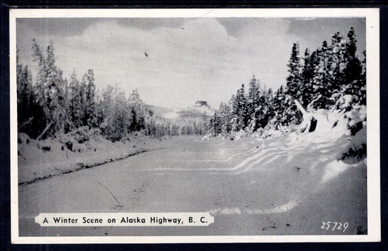 Awinter Scne on Alaska Highway,British Columbia,Canada