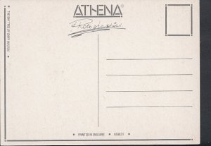 Artist Postcard - The Bay Tree By Gary Waters   RR2634