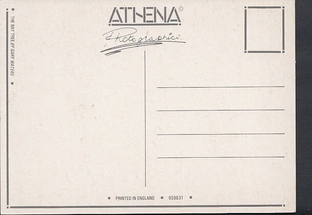 Artist Postcard - The Bay Tree By Gary Waters   RR2634