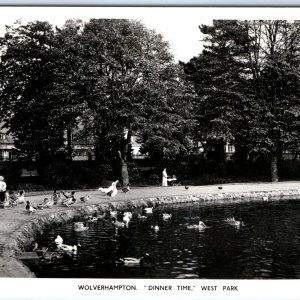 c1930s Wolverhampton, England RPPC West Park Pond Ducks Feeding Time Houses A337