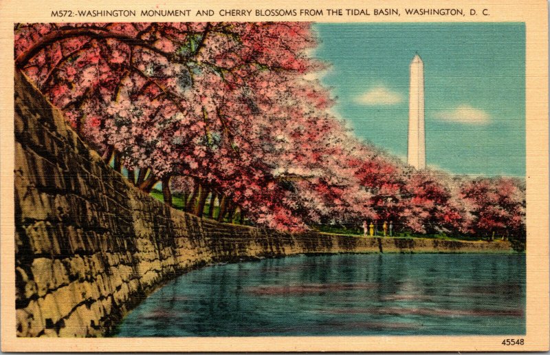 Vtg 1930s Washington Monument Cherry Blossoms Tidal Basin Washington DC Postcard