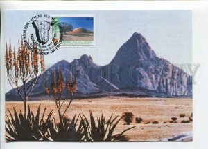 450769 UNITED NATIONS WIEN 1991 maximum card stamp Namibia desert cacti