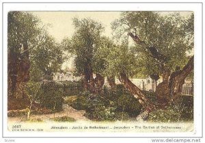 Jerusalem - Jardin de Gethsemani - The Garden of Gethsemane, Israel, 00-10s