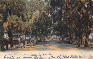 Ridgewood Avenue Horse Coaches Daytona Florida 1906 Rotograph postcard