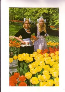 Two Women in Traditional Dress, Tulips, Netherlands