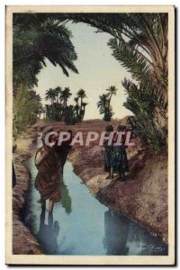 Algeria Old Postcard Scenes and Types Women has Seguia in a palm grove