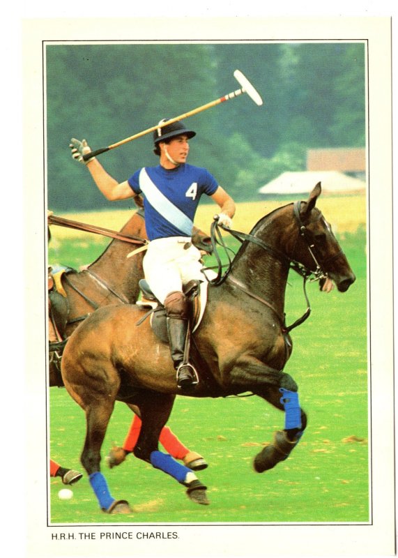 Large 5 X 7, HRH Prince Charles, Prince of Wales, Playing Polo