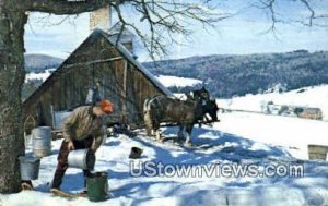 Making Maple Syrup - Misc, Vermont VT  