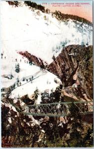 PLACER CANYON, AK Alaska   SUSPENSION BRIDGE & TUNNEL  c1910s Mining  Postcard