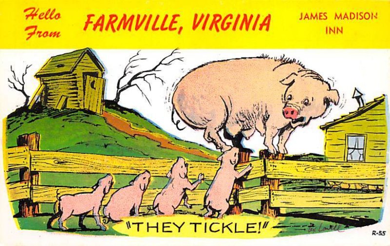 Pig Comic Farmville, Virginia, USA Unused 