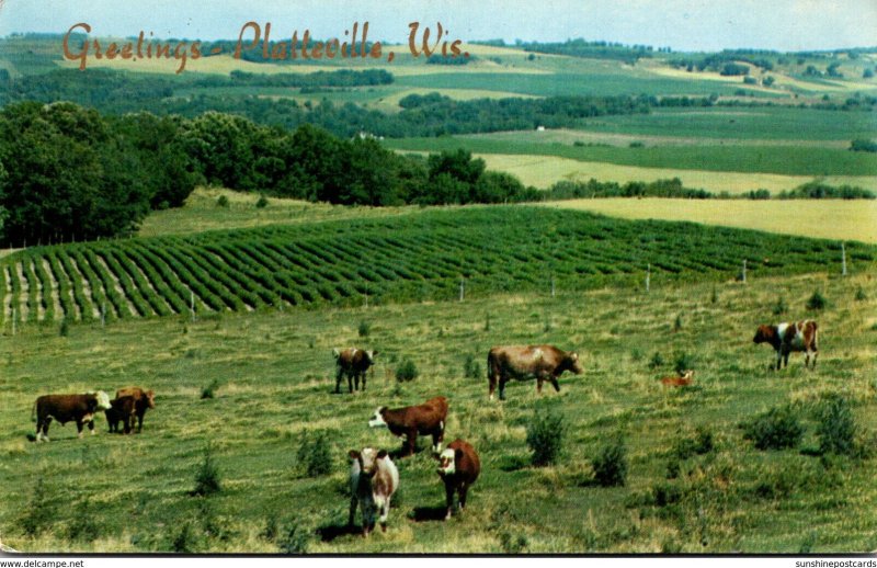 Wisconsin Platteville Greetings Rural Scene 1957