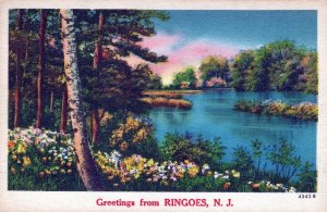 VINTAGE POSTCARD GREETINGS FROM RINGOES NEW JERSEY RIVER SCENE