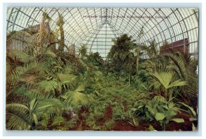 1909 Interior Garfield Park Conservatory Chicago IL, Chesterton IN Postcard