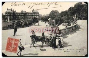 Old Postcard Paris Jardin Du Luxembourg Le Senat car has Ane Children