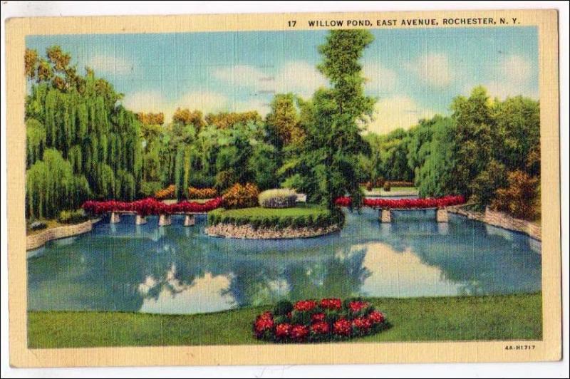 Willow Pond, East Ave, Rochester NY
