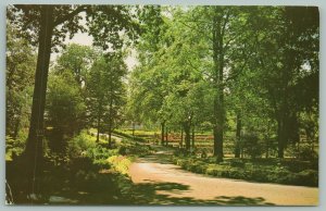 Green Springs Ohio~Rt 19~St Francis of Oak Ridge Hospital~Driveway~c1960 PC