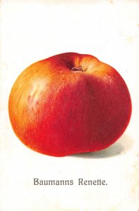 Food Fruits 1934 Type of Apple Baumanns Renette vintage postcard C358
