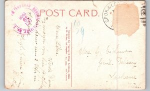 c1908 Vineyard At Lewiston Idaho ID Nez Perce County Postcard