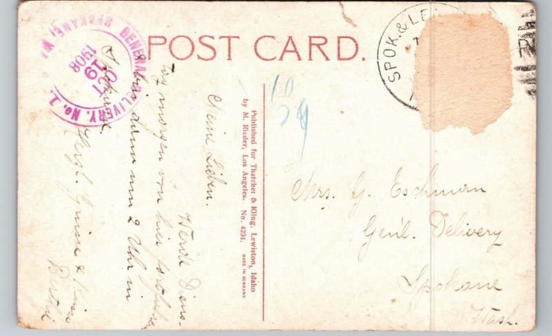 c1908 Vineyard At Lewiston Idaho ID Nez Perce County Postcard