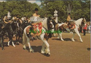 Military Postcard - Drum Horses of The Life Guards, London  RR18634