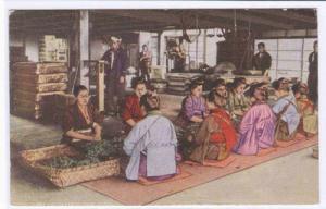 Japanese Tea Factory Interior Japan 1909c postcard
