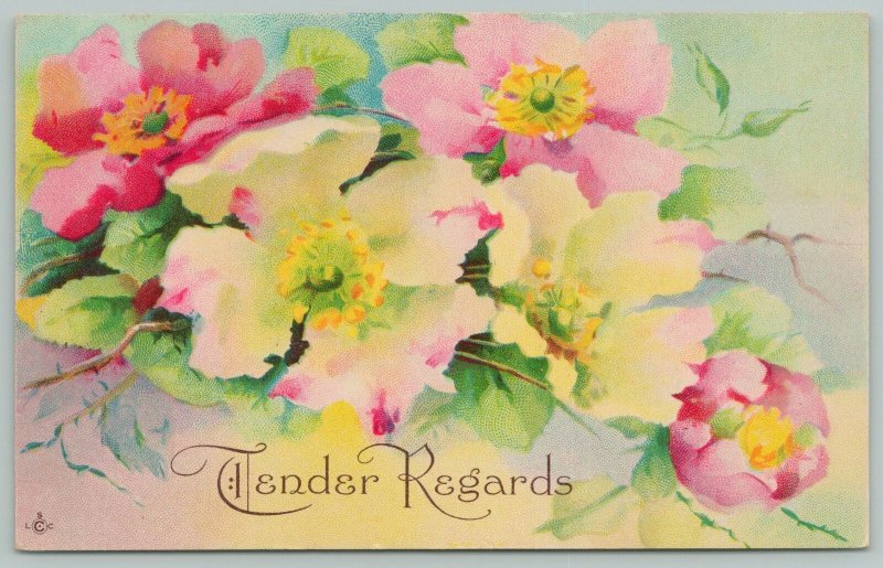 Flowers Greetings~Tender Regards~Pink and White Wild Roses~c1910 Postcard