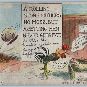 c1900s Eckstone Comic Anthropomorphic Rooster Hen Laying Egg Weight Loss PC A194