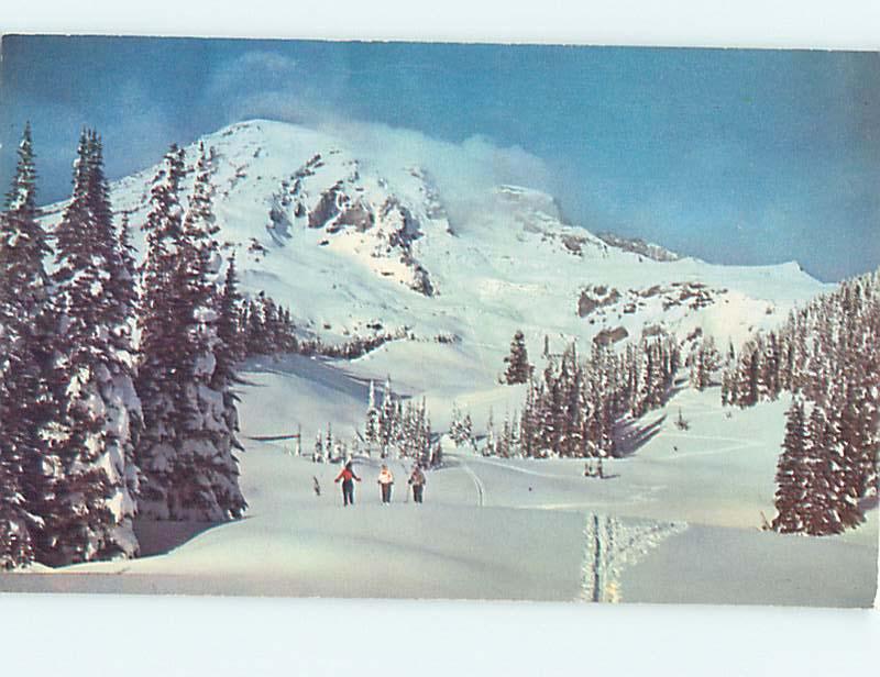 Unused Pre-1980 SKIING IN PARADISE VALLEY IN MALTBY Seattle Washington WA r8708