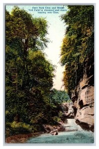 Glen and Bridal Veil Falls Deer Park Illinois IL 1909 DB Postcard T3