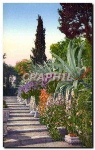 Old Postcard Sanremo Italy Italia Flora della Riviera