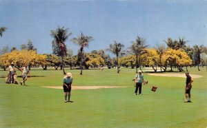 Hollywood Florida Hollywood Beach Hotel Golf Course Vintage Postcard AA62136