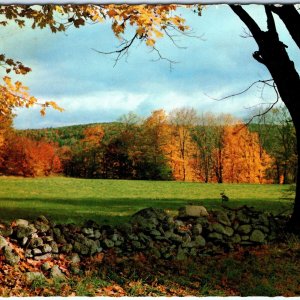 c1970s New England Autumn Foliage Mountain Meadow Stone Wall Chrome 4x6 PC M19