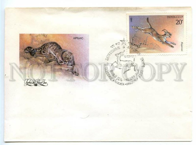 495209 USSR 1985 year FDC Isakov fauna of the Red Book Irbis leopard