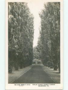 old rppc NICE VIEW Melbourne - Victoria Australia i2919