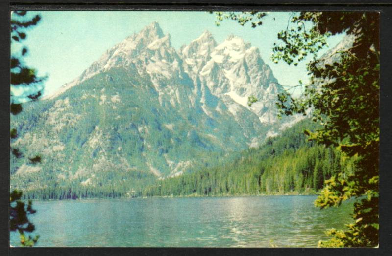 Grand Tetons National Park,WY BIN