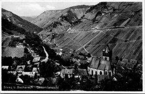 RPPC Germany Overall view of Steeg b. Bacharach