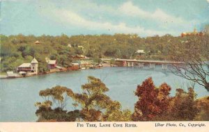 Fig Tree Panorama Lane Cover River Bridge Sydney NSW Australia postcard