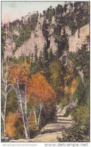 In The Heart Of Spearfish Canyon Savoy South Dakota Handcolored Albertype 1940