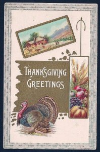 'Thanksgiving Greetings' Live Turkey Farm View Fall Fruit Unused c1...