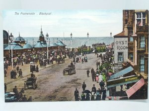 The Promenade Blackpool Lancs Vintage Postcard c1905 Oyster Rooms Auctioneers