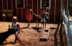 Rhode Island Hopkinton The Enchanted Forest Children's Petting Area