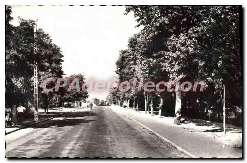 Postcard Old St Jean De Monts Avenue De la Mer