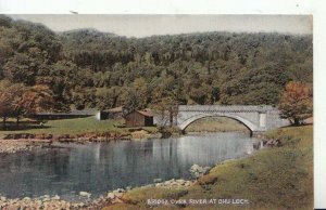 Scotland Postcard - Bridge Over River at Dhu Loch - Argyllshire - Ref 11220A